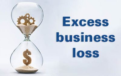 Do you have an excess business loss?