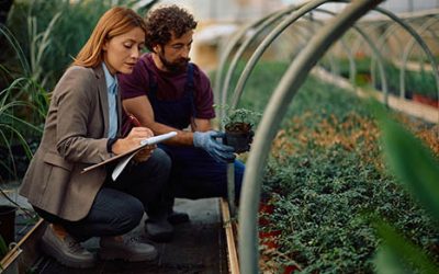 Professional valuations provide businesses with more than a number
