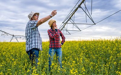 Prepare a successor to lead your family business